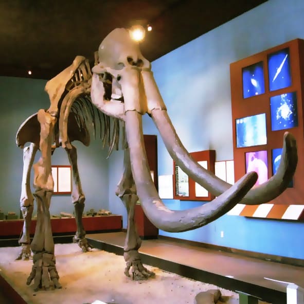 Museo Regional de Guadalajara